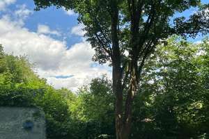 Idyllisches Wohnen im Grünen 4-Zimmer-Wohnung in Sendling-Westpark – Die vollständige Adresse der Immobilie erhältst du vom Anbieter., 81373 Mittersendling, München – Vorschaubild 15