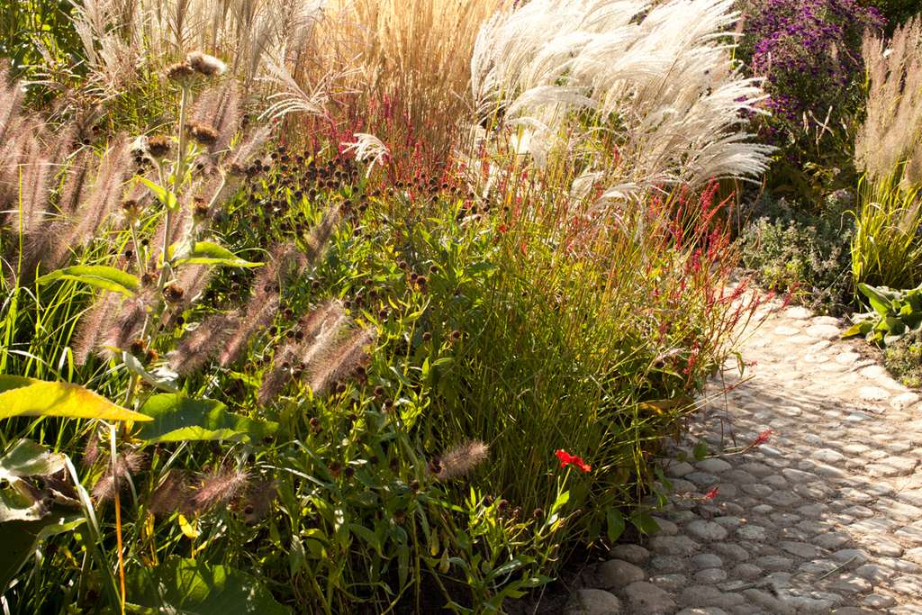 Immobilie in Gerswalde - Landhaushälfte in idyllischer Lage mit großem Ausbaupotential und Planung von Thomas Kröger - Bild 4