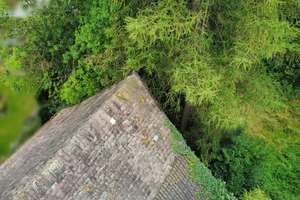 Historischer Resthof mit viel Potenzial und parkähnlichem Garten in Lauenförde – Die vollständige Adresse der Immobilie erhältst du vom Anbieter., 37697 Lauenförde – Vorschaubild 4