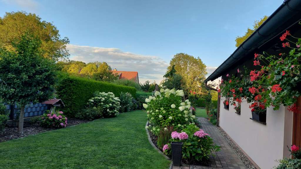 Immobilie in Sanitz - energieeffizientes Einfamilienhaus mit gepflegtem Garten - Bild 1