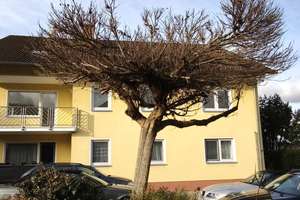 Lukratives 5 FH: Schöner Wohnen am Fuße des Glaubergs, herrlicher Fernblick, Balkon, Stellplatz – Die vollständige Adresse der Immobilie erhältst du vom Anbieter., 63695 Glauburg – Vorschaubild 3