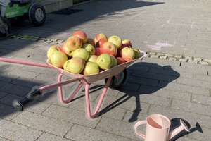 Property thumbnail 19