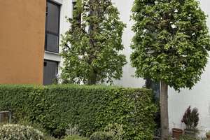 *** TOP-Lage in Wiesbaden *** Frei ab Sept. 2026 *** 4-Zi-Whg. mit Balkon, Parkett und 2 TG-Spl. *** – Die vollständige Adresse der Immobilie erhältst du vom Anbieter., 65197 Rheingauviertel / Hollerborn, Wiesbaden – Vorschaubild 6