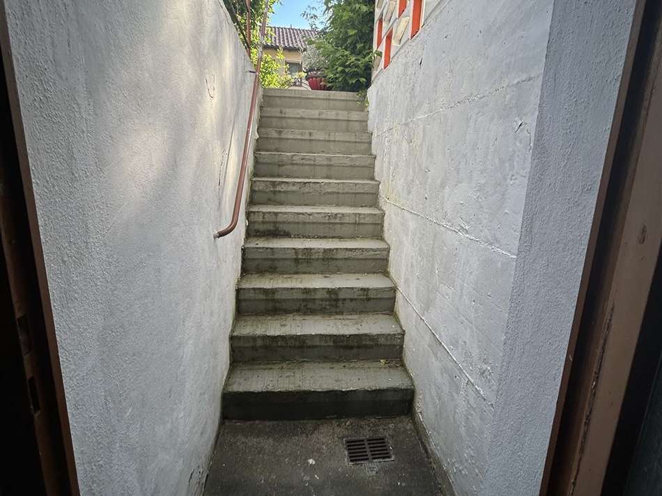 Kelleraufgang in Garten
