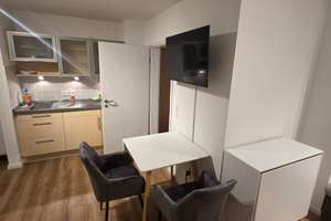 Stilvoll modernisiert und möbeliert: 1-Zimmer-Wohnung  – Schultheißstraße 71a, 85049 Friedrichshofen-Hollerstauden, Ingolstadt – Vorschaubild 3