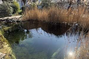Kaiserau - Kamen Methler - Schwimmteich, großer Garten und viel Raum für die große Familie! – Wasserkurler Str. 21, 59174 Kamen – Vorschaubild 5