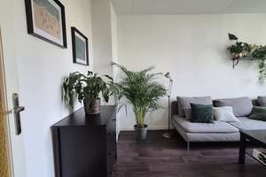 Gepflegtes 2-Zimmer-Apartment mit Laminat und EBK zum fairen Preis** – Berchtesgadener Straße 47, 1279 Laubegast, Dresden – Vorschaubild 7