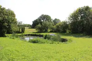 Ein Domizil in ruhiger Lage mit 3 Wohneinheiten, Pferdestall, Werkstatt und Padock – Segeberg (Kreis) – Vorschaubild 20