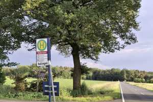 Traumhaus auf dem Lande in Emsdetten,  6 Zimmer,Sauna, Garten...KM 1.850 € - VB - zzgl. NK – Steinfurt (Kreis) – Vorschaubild 14