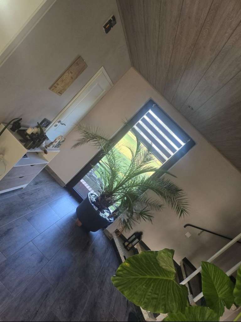 Immobilie in Barver - Provisionsfrei! Familienfreundliches Einfamilienhaus  in Barver - Bild 4