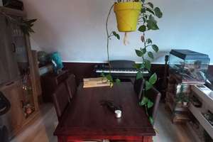 Interessante Dachgeschosswohnung in unmittelbarer Nähe zur Rheinpromenade – Nürnberger Str. 16, 47249 Wanheim-Angerhausen, Duisburg – Vorschaubild 32