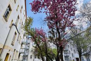 Zuhause mit einem WG- Zimmer in Magdeburg – 39112 Leipziger Straße, Magdeburg – Vorschaubild 2