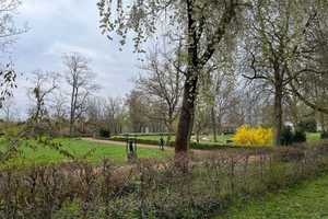 Exklusive Villa in Gartenstadt mit großem Grundstück und Pool bei Leipzig und Halle – Saalekreis – Vorschaubild 20