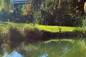 Naturparadies mit Pool & Teich: Möbliertes Blockbohlenhaus mit Wintergarten in Chemnitz-Rottluff – Die vollständige Adresse der Immobilie erhältst du vom Anbieter., 9116 Rottluff, Chemnitz – Vorschaubild 23