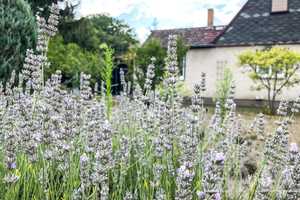 Ihre Chance zur Gestaltung: Doppelhaushälfte sucht nach Ihren Sanierungsideen! – Havelland (Kreis) – Vorschaubild 12