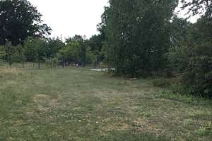 Gepflegte Doppelhaushälfte mit Garten in Müden (Aller) – Die vollständige Adresse der Immobilie erhältst du vom Anbieter., 38539 Müden (Aller) – Vorschaubild 17