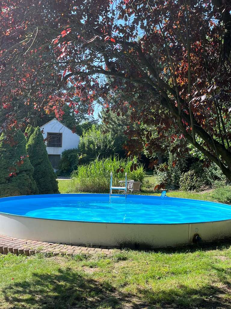 Immobilie in Niedergörsdorf - Großzügiges Wohn- und Geschäftshaus mit Pool und 1.500 m² Grundstück - Bild 1