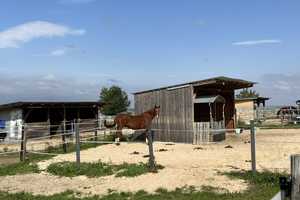 Ein Wohntraum für Familien und eine beneidenswerte Lage – Freihofstraße 25, 61184 Wetteraukreis – Vorschaubild 4