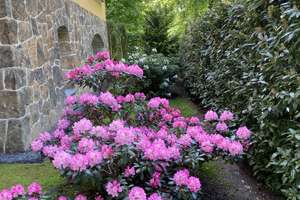 Property thumbnail 28