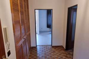 Helle 2-Zimmer-Wohnung mit Terrasse & Stellplatz in HH-Harburg Marmstorf – Heckenstieg 35, 21077 Marmstorf, Hamburg – Vorschaubild 8