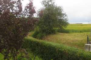 Gemütliches großes Einfamilienhaus mit Garage, Terrasse und schönem Garten in Schönbrunn – Vogtlandkreis – Vorschaubild 3
