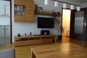 Möbliert,TOP-Zustand, sehr gute Lage: 39m²-1-Zi.-Whg.+Balkon-zus. EBK+Bad+Abstellraum+Kellerabteil – Die vollständige Adresse der Immobilie erhältst du vom Anbieter., 91054 Altstadt, Erlangen – Vorschaubild 4