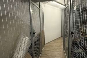 Kapitalanlage: Möbliertes Apartment in Top-Lage für Studenten | sofort Einnahmen – Paracelsuspark 1, 59063 Mitte, Hamm – Vorschaubild 12