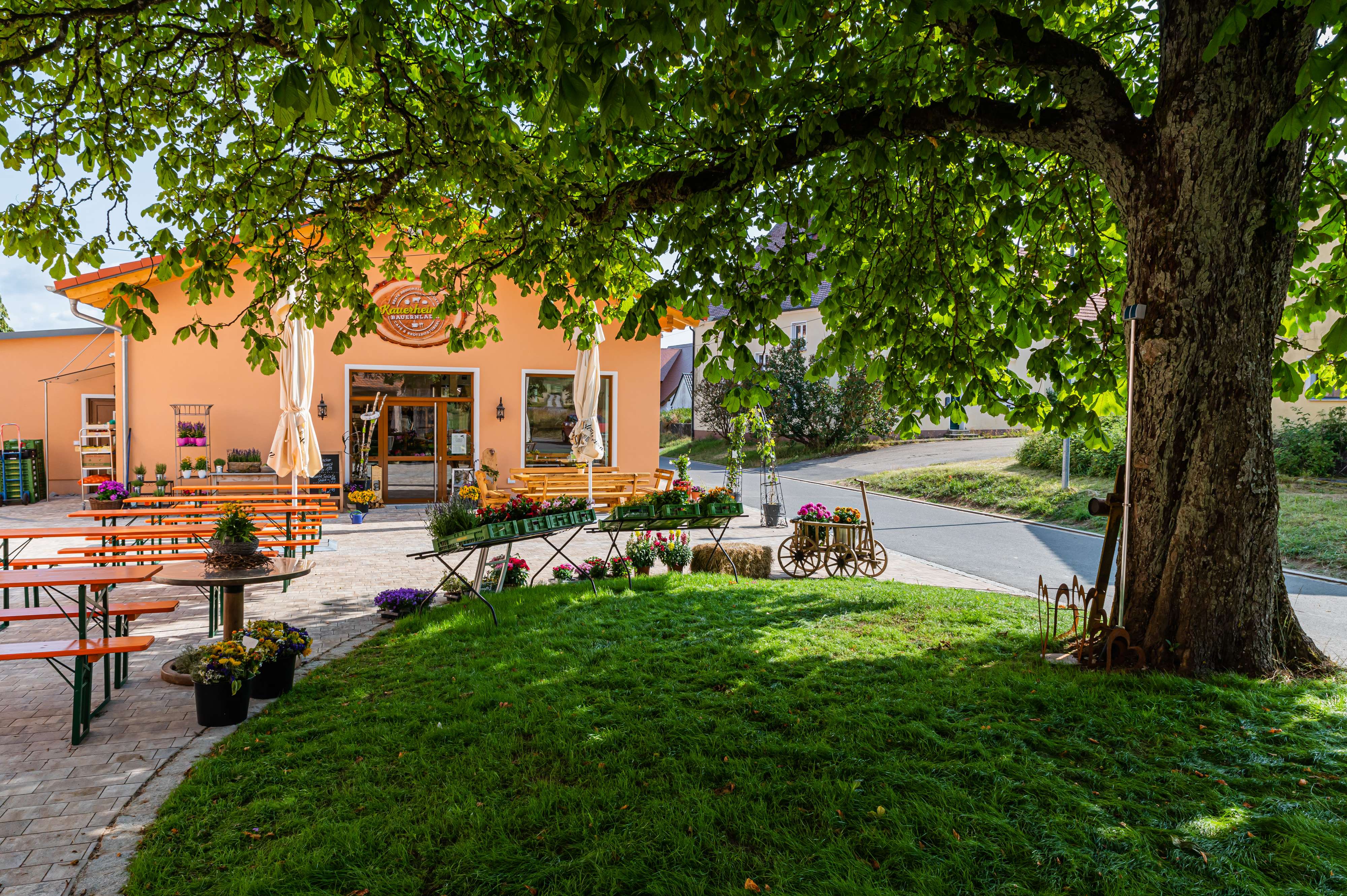 ** gegen Gebot ** Landleben trifft Stadtnähe: Ihr Platz für Wohnen & Arbeiten, Nürnberger Land Kreis – Bild 2