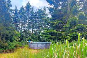 Exklusive Landvilla in Prenzlau – Einfamilienhaus mit 16.000 m² Naturidylle – Die vollständige Adresse der Immobilie erhältst du vom Anbieter., 17326 Brüssow – Vorschaubild 16