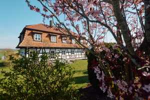 Seltenes Immobilienangebot: Charmantes Fachwerkhaus in Top-Zustand und einmaliger Lage – Rottweil (Kreis) – Vorschaubild 1