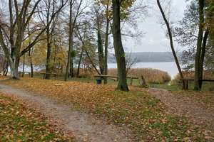 Wochenendgrundstück in Seenähe – Berghofer Weg 5, 15569 Woltersdorf – Vorschaubild 5