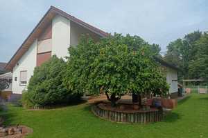 RESERVIERT!  Wohnen mit Stil – Königsbergerstrasse 4, 67459 Rhein-Pfalz-Kreis – Vorschaubild 20