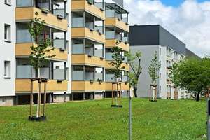 Ruhiges Wohnen im Herzen von Sudenburg – Astonstr. 24, 39116 Sudenburg, Magdeburg – Vorschaubild 2