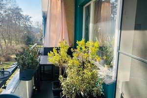 Einziehen und wohlfühlen - schöne bezugsfreie 2 Zimmerwohnung im Grünen