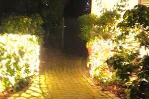 Stadtvilla mit viel Raum und großem Garten,  Alt-Baumbestand und teilgewerbl. Vermietung möglich – Neuss (Rhein-Kreis) – Vorschaubild 65