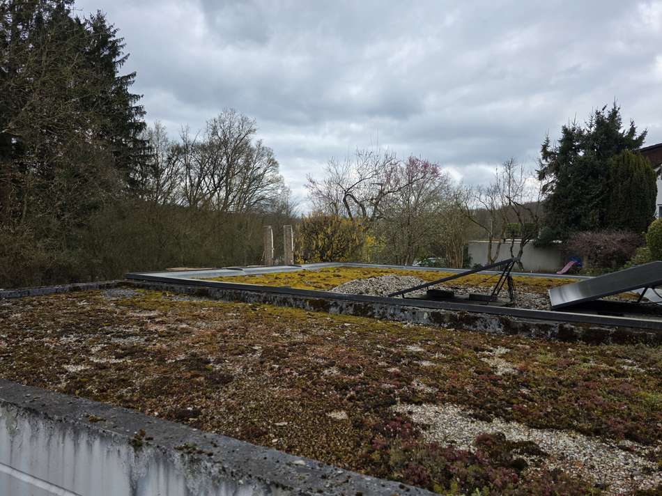 Ausblick