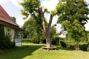Stilvoll saniertes Pfarrhaus mit weitläufigem Privatpark – Die vollständige Adresse der Immobilie erhältst du vom Anbieter., 17322 Grambow – Vorschaubild 12