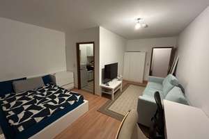  Helles, möbliertes 1-Zimmer-Apartment in Mannheim-Lindenhof  – Meerfeldstraße 11, 68163 Lindenhof, Mannheim – Vorschaubild 8