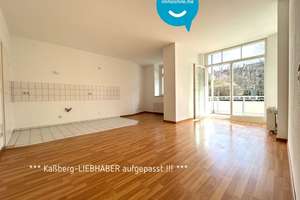 Kaßberg • offenes Wohnen • Balkon • 2 Zimmer • Tiefgarage • zur Miete • schnell sein – Die vollständige Adresse der Immobilie erhältst du vom Anbieter., 9112 Kaßberg, Chemnitz – Vorschaubild 1