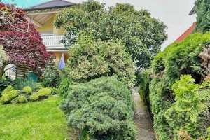 Hier wächst Ihr Familienglück: Geräumiges Haus mit Gartenparadies am Main - Mit Einliegerwohnung – Groß-Gerau (Kreis) – Vorschaubild 1