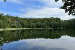 Landhaus im Loftstyle nur 53 km von Berlin – Oberhavel (Kreis) – Vorschaubild 13