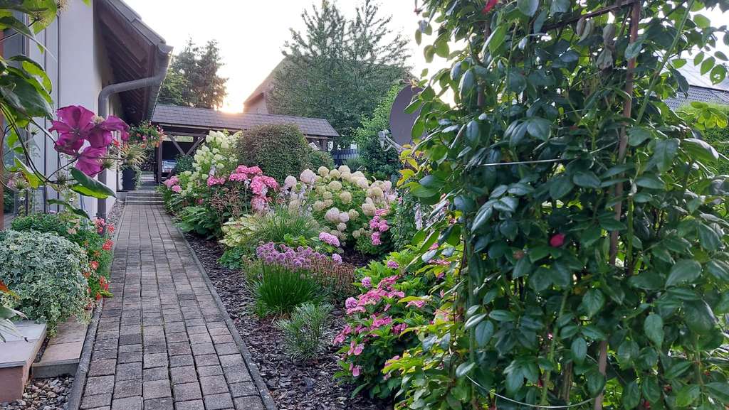 Immobilie in Sanitz - energieeffizientes Einfamilienhaus mit gepflegtem Garten - Bild 4