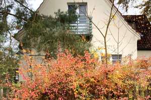 Charmantes EFH aus den 1930er Jahren mit großzügigen Garten direkt an der Berliner Stadtgrenze – Die vollständige Adresse der Immobilie erhältst du vom Anbieter., 15366 Neukölln (Ortsteil), Berlin – Vorschaubild 8