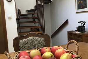 Exklusives Reihenendhaus im Bungalow-Stil mit Galerie, Pool und traumhaften Garten – 90453 Katzwang, Reichelsdorf Ost, Reichelsdorfer Keller, Nürnberg – Vorschaubild 9