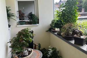 Wohnen mit Charakter: Drei-Zimmer-Wohnung in Rheydt – Hermann-Löns-Straße 11, 41238 Mülfort, Mönchengladbach – Vorschaubild 6