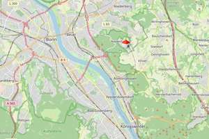 Freistehendes, gemütliches EFH (105qm) mit Terrasse, Garten und Vollkeller in Beuel-Niederholtorf! – Die vollständige Adresse der Immobilie erhältst du vom Anbieter., 53229 Holtorf, Bonn – Vorschaubild 6
