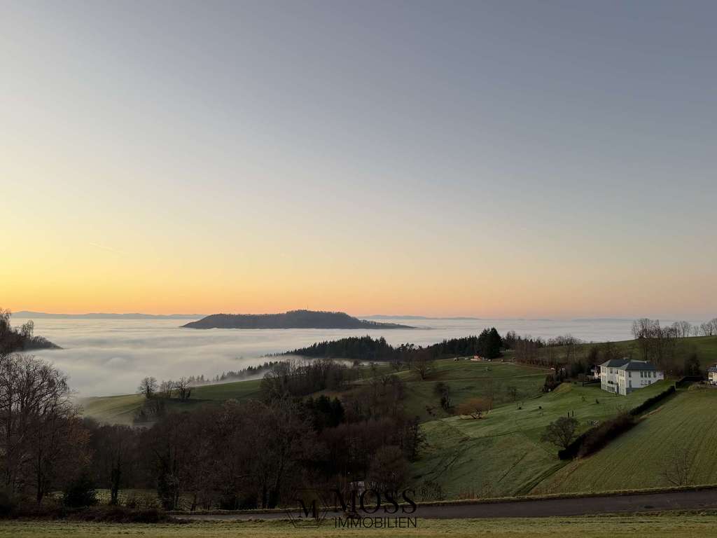 Immobilie in Horben - Maisonette mit Traumpanorama in die Rheinebene nur 10 min von Freiburg KFW40 QNG - Bild 1