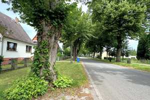 Ideal für Naturliebhaber, Handwerker, Künstler und Familien – nur wenige Schritte vom Yachthafen – Rügen (Kreis) – Vorschaubild 13