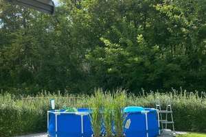 Modernes, neuwertiges Reihenendhaus am Waldrand, urbaner Lifestyle trifft Naturparadies in Alzey – Die vollständige Adresse der Immobilie erhältst du vom Anbieter., 55232 Alzey – Vorschaubild 10