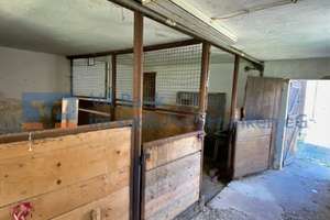 ehemalige Hofstelle in Pfraunfeld – Die vollständige Adresse der Immobilie erhältst du vom Anbieter., 91790 Burgsalach – Vorschaubild 15